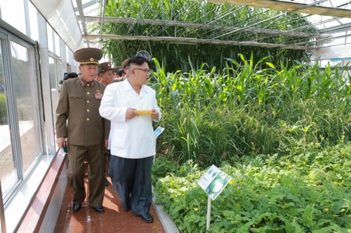 朝中社9月13日提供的照片顯示，朝鮮最高領導人金正恩（前右）日前視察朝鮮人民軍第810部隊所屬1116號農場。