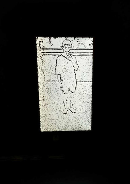 飛蟲(chóng)互動(dòng)肖像 勞倫特?米若奴，克里斯塔?松墨爾 2015
