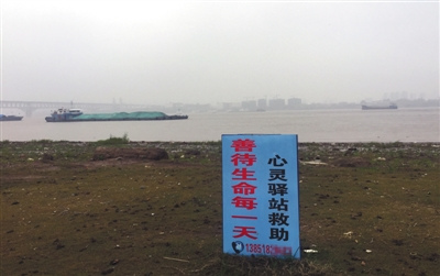 11月20日，南京。長江岸邊，一塊藍色的標(biāo)牌上寫著陳思的電話號碼。A16-A17版攝影/新京報記者 王佳慧