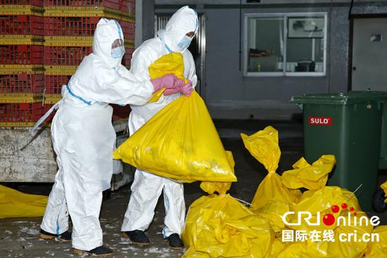 澳門民政總署人員在南粵批發(fā)市場實行封鎖、消毒，以及撲殺家禽等一系列防控禽流感病毒措施。