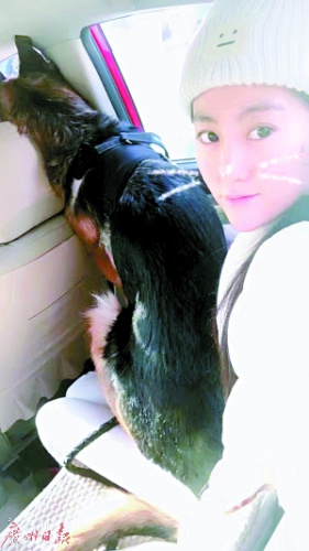 90后“寵物殯葬師”徐雅婷說，創(chuàng)業(yè)初衷是送寵物最后一程。