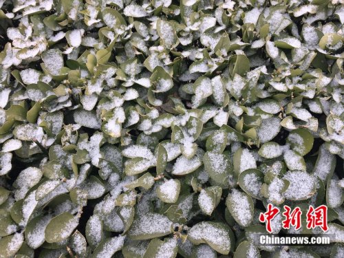 點擊進(jìn)入下一頁