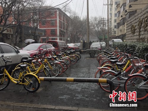風(fēng)雪中的共享單車。<a target='_blank' href='http://www.chinanews.com/' >中新網(wǎng)</a> 吳濤 攝