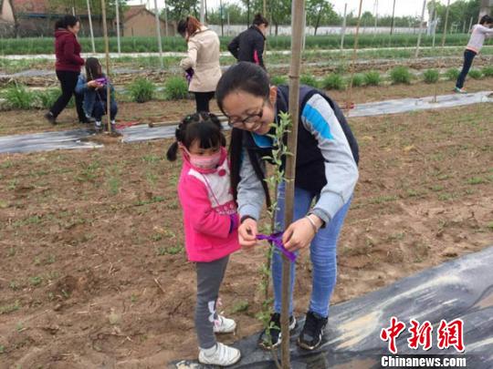 熊家廟辦事處女干部張海艷在春季農(nóng)業(yè)生產(chǎn)時帶著孩子幫助農(nóng)民為新栽樹苗定枝?！『钪拘?攝
