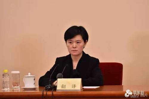兩會(huì)女神級翻譯又出現(xiàn)! 盤點(diǎn)歷屆兩會(huì)