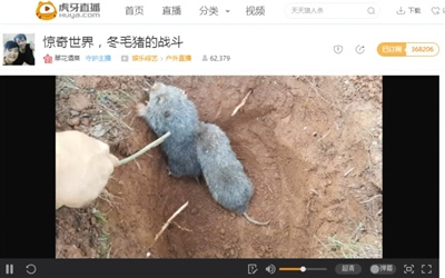 點擊進(jìn)入下一頁
