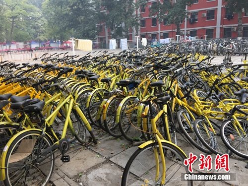 資料圖。北京某所高校內(nèi)的共享單車數(shù)量驚人。<a target='_blank' href='http://www.chinanews.com/' >中新網(wǎng)</a> 吳濤 攝