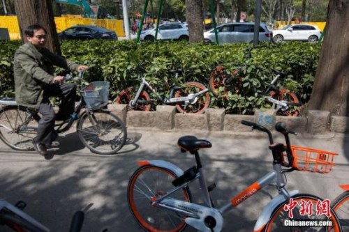 南京一慢車道遭遇共享單車“占領”。<a target='_blank' href='http://www.chinanews.com/'>中新社</a>記者 泱波 攝