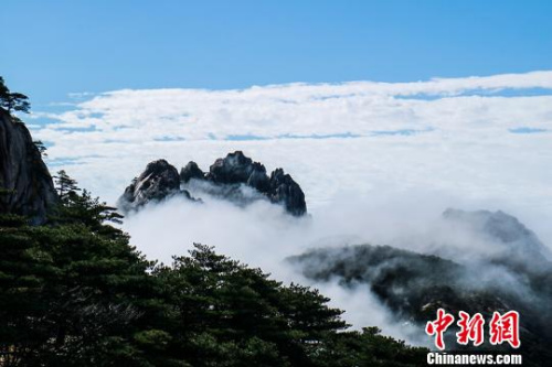  9日，安徽黃山風景區(qū)經過昨夜雷雨天氣的洗禮，云海、佛光等壯麗風景展現在游客們的眼前?！±罱饎?攝