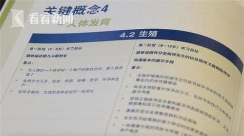 聯(lián)合國教科文組織發(fā)布的《國際性教育技術(shù)指導綱要》。