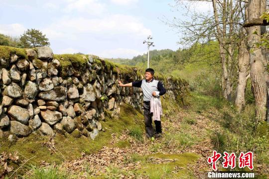 河堤長約400米，頂部寬度在60公分至100公分之間，高度約兩米，由石料砌筑而成?！↑S一魏 攝