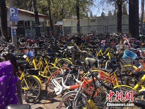 資料圖：頤和園附近的一處停車點(diǎn)堆滿共享單車。<a target='_blank' href='http://www.chinanews.com/' >中新網(wǎng)</a> 吳濤 攝