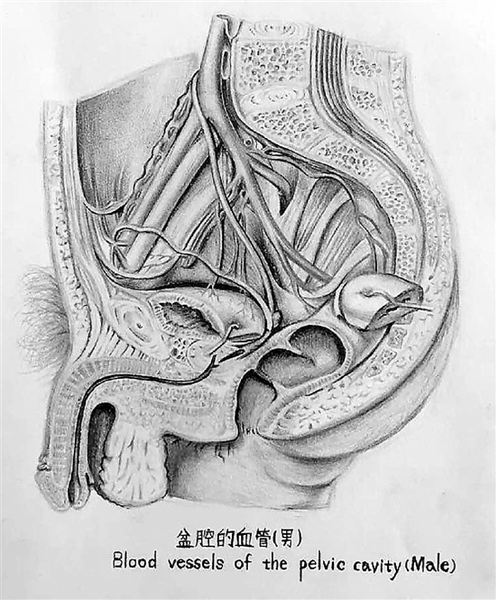 醫(yī)科大學女大學生的課堂筆記 線條清晰堪比藝術繪本