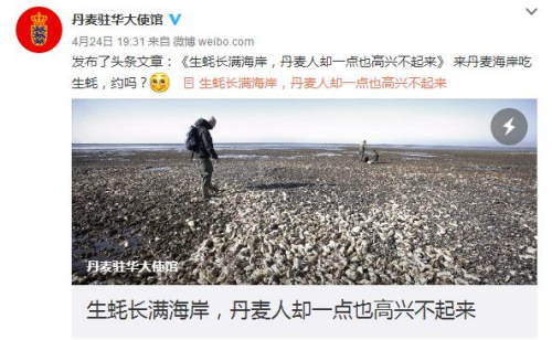 日前，丹麥駐華大使館因本國生蠔泛濫成災(zāi)，特發(fā)文求助網(wǎng)友。圖為網(wǎng)絡(luò)截圖