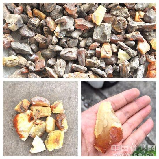 圖為深圳文錦渡海關(guān)關(guān)員查獲的走私琥珀原石。魏百臻攝