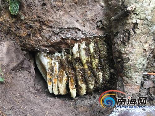 點(diǎn)擊進(jìn)入下一頁