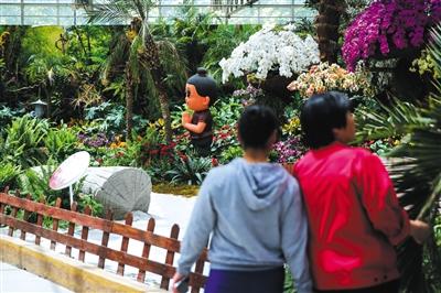 5月11日，農(nóng)業(yè)嘉年華B展廳，兩位女士在東南亞展區(qū)參觀。 新京報(bào)記者 彭子洋 攝