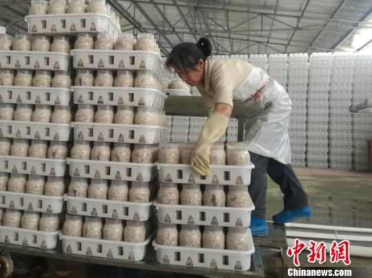 探訪贛南新型扶貧基地，休閑農(nóng)業(yè)成脫貧致富“金鑰匙”。　蘇路程 攝