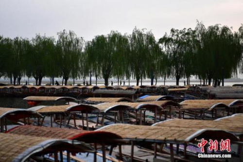 資料圖：雄安新區(qū)白洋淀，密密麻麻的手搖游船。<a target='_blank' href='http://www.chinanews.com/'>中新社</a>記者 翟羽佳 攝