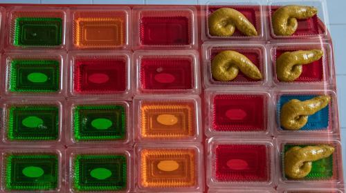“狗大便”甜點由椰奶、明膠和食用色素做成。（圖片來源：法新社）