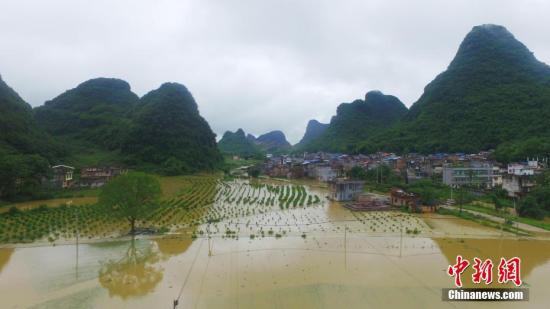 資料圖：廣西融安縣泗頂鎮(zhèn)儒南村拍攝被洪水淹沒(méi)的農(nóng)田。譚凱興 攝