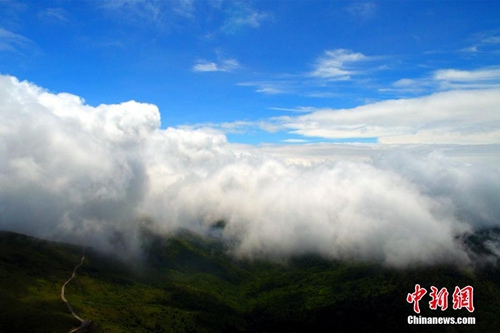 資料圖：神農(nóng)架現(xiàn)云海奇觀。 周星亮 攝