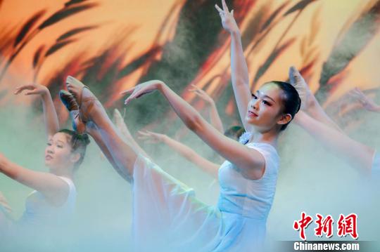 《加國頌 中華情》大型綜藝晚會(huì)劇照（多倫多華星藝術(shù)團(tuán)供圖）