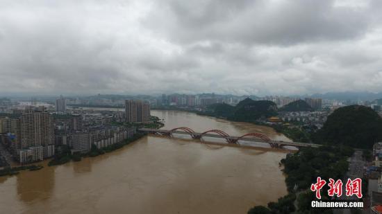 資料圖：7月3日，因受連日暴雨影響，廣西柳江河柳州段出現(xiàn)超警戒水位。 王以照 攝