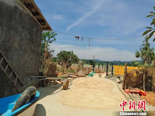 除部分樹枝和電線上還殘留著洪水中的雜物外，壩塘鎮(zhèn)的災(zāi)后垃圾已基本清理完畢?！⊥蹶魂?攝