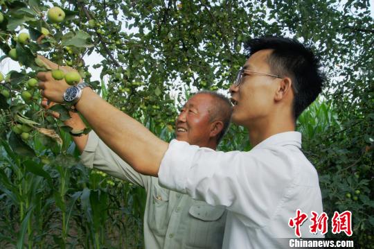 到2016年10月底，梁磊公司已累計(jì)向貧困戶果農(nóng)收購海紅果2700噸?！⊥醣筇?攝
