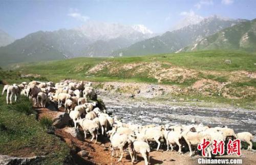資料圖：夏日的祁連山風(fēng)景如畫。　郎文瑞 攝