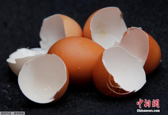 比利時檢察部門指，當(dāng)?shù)馗ヌm德斯兩家專門生產(chǎn)殺虱劑的廠商懷疑與事件有關(guān)，可能有不法商人將原本合法用于飼養(yǎng)雞只的殺蟲藥，混合非法有害物質(zhì)，以加強(qiáng)藥力。（資料圖）