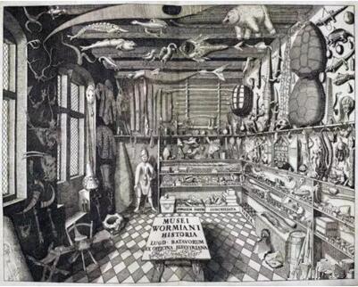 Herman Middendorp, 《Ole Worm的藝術(shù)房》，Musei Wormiani Historia, 1655年