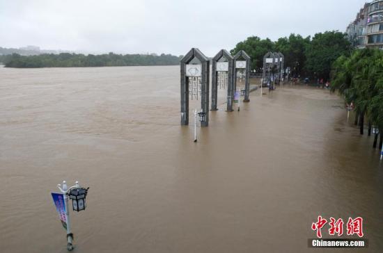 受新一輪連續(xù)強降雨影響，8月15日2時10分，漓江桂林水文站出現(xiàn)147.51米洪峰水位，超警戒水位1.51米，為今年最大洪水。當天漓江旅游船舶、排筏全線封航。 趙琳露 攝
