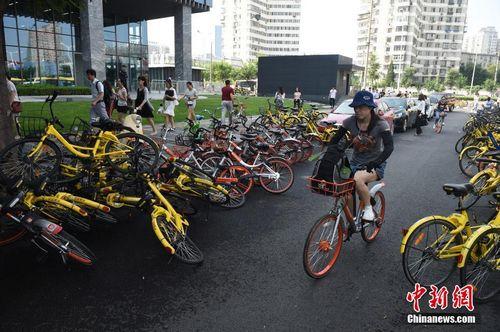 8月3日，北京街頭的共享單車。<a target='_blank' href='http://www.chinanews.com/'>中新社</a>記者 侯宇 攝