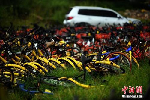 9月9日，現(xiàn)場堆積如山的共享單車。<a target='_blank' href='http://www.chinanews.com/'>中新社</a>記者 李進紅 攝
