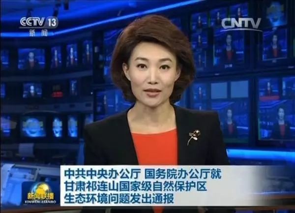  △王三運(yùn)落馬后，祁連山問(wèn)題上了新聞聯(lián)播