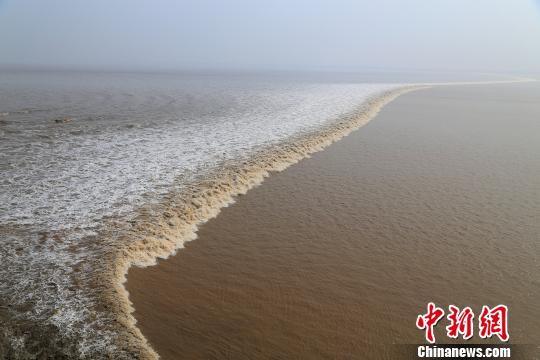 “一線橫江”的錢江潮?！⊥踹h 攝