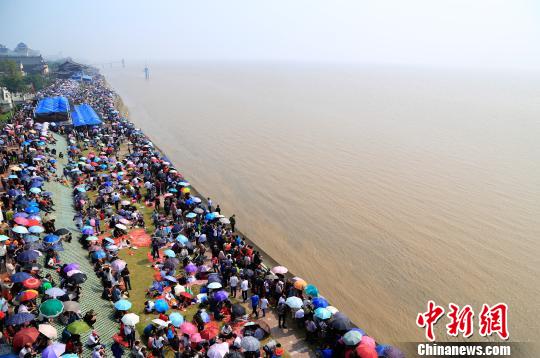 12.5萬慕名而來的中外觀潮游客翹首等待錢江潮?！⊥踹h 攝