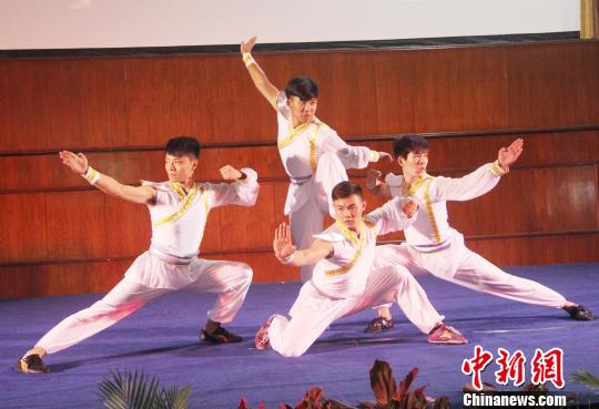 圖為武術(shù)表演?！×钟纻?攝