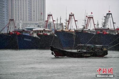 資料圖：臺風來襲，漁船回港避風。 <a target='_blank' href='http://www.chinanews.com/'>中新社</a>記者 駱云飛 攝