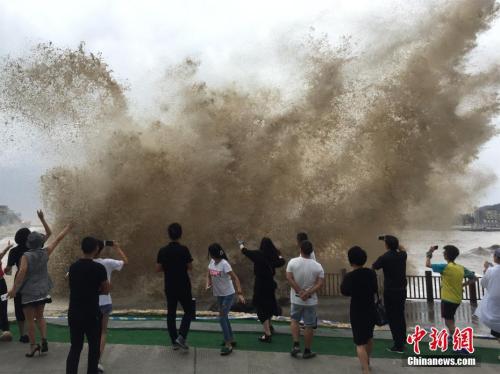9月14日，受臺風“泰利”影響，浙江溫嶺石塘掀巨浪。<a target='_blank' href='http://www.chinanews.com/'>中新社</a>記者 張琦 攝