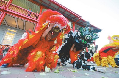 蘇里南首都帕拉馬里博，華裔民眾進行舞獅表演，歡迎中國傳統(tǒng)春節(jié)到來。 　　人民視覺