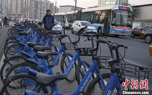 11月16日，北京街頭的“小藍(lán)單車”。
<a target='_blank' href='http://www.chinanews.com/'>中新社</a>記者 賈天勇 攝