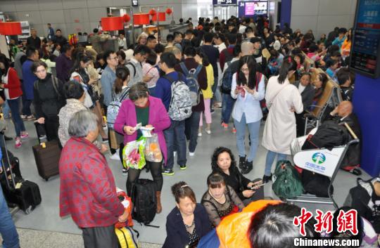 圖為旅客排隊值機?！瞵B 攝