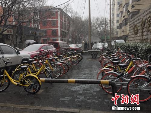 資料圖：風(fēng)雪中的共享單車。<a target='_blank' href='http://www.chinanews.com/' >中新網(wǎng)</a> 吳濤攝