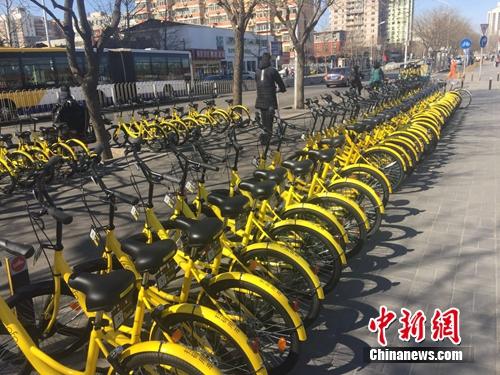 資料圖：一排共享單車整齊碼放。<a target='_blank' href='http://www.chinanews.com/' >中新網(wǎng)</a> 吳濤 攝