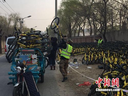 資料圖：ofo工作人員在做運(yùn)維工作。<a target='_blank' href='http://www.chinanews.com/' >中新網(wǎng)</a> 吳濤 攝