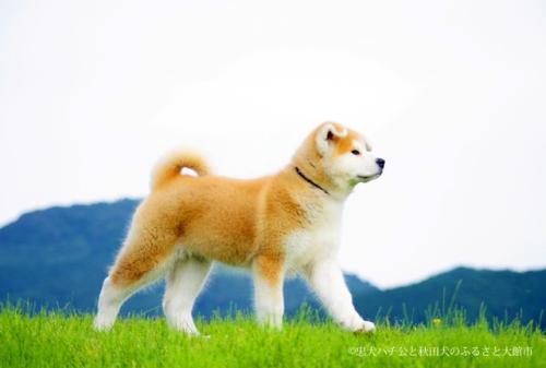 來源：該市官網(wǎng)。