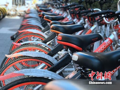 資料圖：清一色的摩拜單車(chē)。<a target='_blank' href='http://www.chinanews.com/' >中新網(wǎng)</a> 吳濤 攝